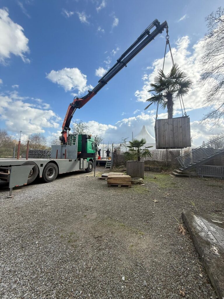 Ein gruener Kranwagen hebt eine Palme im Holzkuebel unter blauem Himmel